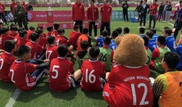 足球爆料计划最新,独家内幕，带你领略绿茵场风云变幻